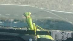 長岡デリヘル人妻楼　長岡店(ヒトヅマロウ　ナガオカテン) なな(43)の10月17日写メブログ「ヤツと一緒に長岡へ」