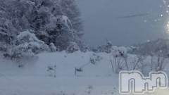 長岡デリヘル人妻楼　長岡店(ヒトヅマロウ　ナガオカテン) なな(43)の1月29日写メブログ「何台も」