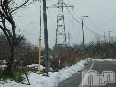長岡デリヘル人妻楼　長岡店(ヒトヅマロウ　ナガオカテン) なな(43)の1月16日写メブログ「柿崎へ！」