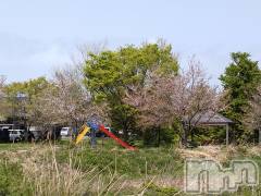 長岡デリヘル人妻楼　長岡店(ヒトヅマロウ　ナガオカテン) なな(43)の4月17日写メブログ「3日間で私は」