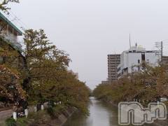 長岡デリヘル人妻楼　長岡店(ヒトヅマロウ　ナガオカテン) なな(43)の4月18日写メブログ「長岡の駅裏」
