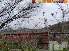 長岡デリヘル人妻楼　長岡店(ヒトヅマロウ　ナガオカテン) なな(43)の4月24日写メブログ「凄いね😯！！」