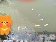 長岡デリヘル人妻楼　長岡店(ヒトヅマロウ　ナガオカテン) なな(43)の4月25日写メブログ「池を除いたら！」