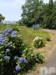 長岡デリヘル人妻楼　長岡店(ヒトヅマロウ　ナガオカテン) なな(43)の6月27日写メブログ「早いかもね！」