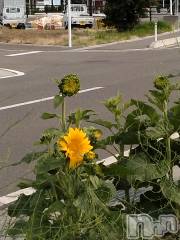 長岡デリヘル人妻楼　長岡店(ヒトヅマロウ　ナガオカテン) なな(43)の6月27日写メブログ「近所で少し前から」