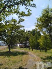 長岡デリヘル人妻楼　長岡店(ヒトヅマロウ　ナガオカテン) なな(43)の7月19日写メブログ「三連休初日は」