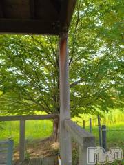 長岡デリヘル人妻楼　長岡店(ヒトヅマロウ　ナガオカテン) なな(43)の8月28日写メブログ「そんなのは困る😖」