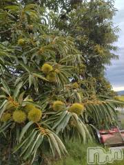 長岡デリヘル人妻楼　長岡店(ヒトヅマロウ　ナガオカテン) なな(43)の9月13日写メブログ「クリʕ⁠ ⁠ꈍ⁠ᴥ⁠ꈍ⁠ʔ」