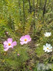 長岡デリヘル人妻楼　長岡店(ヒトヅマロウ　ナガオカテン) なな(43)の10月3日写メブログ「近所で発見」