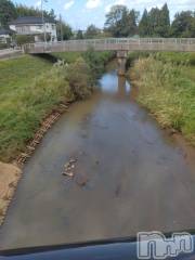 長岡デリヘル人妻楼　長岡店(ヒトヅマロウ　ナガオカテン) なな(43)の10月10日写メブログ「近所の川」