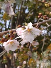 長岡デリヘル人妻楼　長岡店(ヒトヅマロウ　ナガオカテン) なな(43)の11月24日写メブログ「11月なのに」