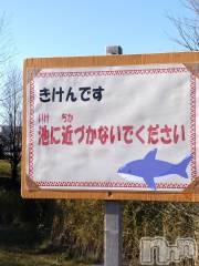 長岡デリヘル人妻楼　長岡店(ヒトヅマロウ　ナガオカテン) なな(43)の12月17日写メブログ「池に近づくと。。」