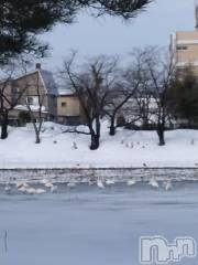 長岡デリヘル人妻楼　長岡店(ヒトヅマロウ　ナガオカテン) なな(43)の2月14日写メブログ「ここに居ました！」