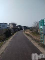 長岡デリヘル人妻楼　長岡店(ヒトヅマロウ　ナガオカテン) なな(43)の3月29日写メブログ「8号線に続く道」