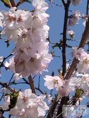 長岡デリヘル人妻楼　長岡店(ヒトヅマロウ　ナガオカテン) なな(43)の4月5日写メブログ「昨日だけど」