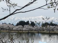 長岡デリヘル人妻楼　長岡店(ヒトヅマロウ　ナガオカテン) なな(43)の4月29日写メブログ「私が見た中で」