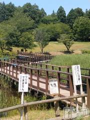 長岡デリヘル人妻楼　長岡店(ヒトヅマロウ　ナガオカテン) なな(43)の6月18日写メブログ「今日公園内で」