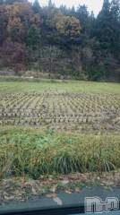 長岡デリヘル人妻楼　長岡店(ヒトヅマロウ　ナガオカテン) なな(43)の11月26日写メブログ「なな、現場に戻る」