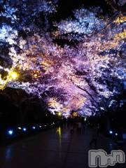 長岡デリヘル人妻楼　長岡店(ヒトヅマロウ　ナガオカテン) なな(43)の4月10日写メブログ「今日の高田公園」