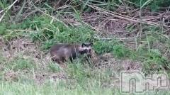 長岡デリヘル人妻楼　長岡店(ヒトヅマロウ　ナガオカテン) なな(43)の7月4日写メブログ「刺しちゃ、いやよ！」