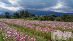 長岡デリヘル人妻楼　長岡店(ヒトヅマロウ　ナガオカテン) なな(43)の10月23日写メブログ「満開でしたー！」