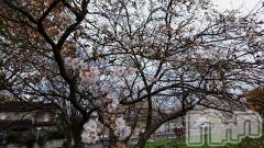 長岡デリヘル人妻楼　長岡店(ヒトヅマロウ　ナガオカテン) なな(43)の11月30日写メブログ「ほんの一瞬だけ！」