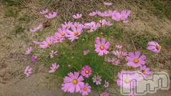 長岡デリヘル人妻楼　長岡店(ヒトヅマロウ　ナガオカテン) なな(43)の9月23日写メブログ「やっといけました。」