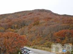 長岡デリヘル人妻楼　長岡店(ヒトヅマロウ　ナガオカテン) なな(43)の11月1日写メブログ「みてきました。」