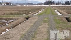 長岡デリヘル人妻楼　長岡店(ヒトヅマロウ　ナガオカテン) なな(43)の2月26日写メブログ「分かる様になった。」
