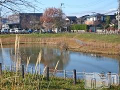 長岡デリヘル人妻楼　長岡店(ヒトヅマロウ　ナガオカテン) なな(43)の12月9日写メブログ「近所まで」