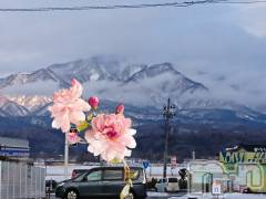 長岡デリヘル人妻楼　長岡店(ヒトヅマロウ　ナガオカテン) なな(43)の2月11日写メブログ「８号線からの」