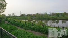 長岡デリヘル人妻楼　長岡店(ヒトヅマロウ　ナガオカテン) なな(43)の4月25日写メブログ「家の近所を」