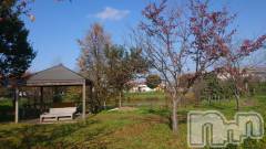 長岡デリヘル人妻楼　長岡店(ヒトヅマロウ　ナガオカテン) なな(43)の11月17日写メブログ「雪ふったね！」