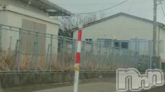 長岡デリヘル人妻楼　長岡店(ヒトヅマロウ　ナガオカテン) なな(43)の1月21日写メブログ「私の所は」