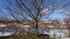 長岡デリヘル人妻楼　長岡店(ヒトヅマロウ　ナガオカテン) なな(43)の2月13日写メブログ「何の木でしょう？」