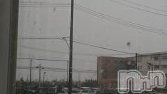 長岡デリヘル人妻楼　長岡店(ヒトヅマロウ　ナガオカテン) なな(43)の2月20日写メブログ「長岡も⛄だね！」