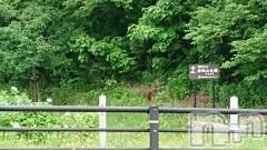 長岡デリヘル人妻楼　長岡店(ヒトヅマロウ　ナガオカテン) なな(43)の6月11日写メブログ「柏崎のここ！」