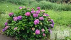 長岡デリヘル人妻楼　長岡店(ヒトヅマロウ　ナガオカテン) なな(43)の6月12日写メブログ「貸し切りでした！」