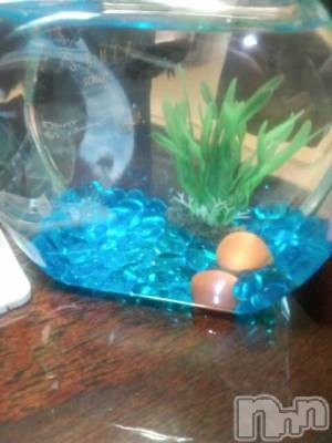 長岡デリヘル 人妻楼　長岡店(ヒトヅマロウ　ナガオカテン) なな(43)の1月31日写メブログ「んーコレ・・・」