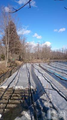 長岡デリヘル 人妻楼　長岡店(ヒトヅマロウ　ナガオカテン) なな(43)の2月26日写メブログ「プチ遠出(*^-^*)」