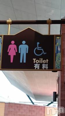 長岡デリヘル 人妻楼　長岡店(ヒトヅマロウ　ナガオカテン) なな(43)の9月12日写メブログ「トイレ・・」