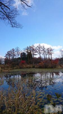 長岡デリヘル 人妻楼　長岡店(ヒトヅマロウ　ナガオカテン) なな(43)の11月14日写メブログ「ぎんぎんに(笑)」