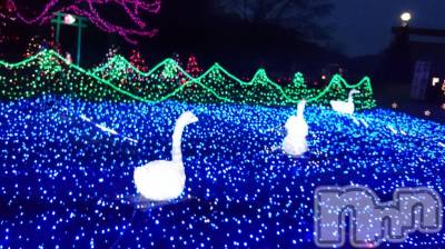 長岡デリヘル 人妻楼　長岡店(ヒトヅマロウ　ナガオカテン) なな(43)の12月14日写メブログ「イルミ」