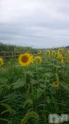 長岡デリヘル 人妻楼　長岡店(ヒトヅマロウ　ナガオカテン) なな(43)の8月13日写メブログ「タノシムコト・・」