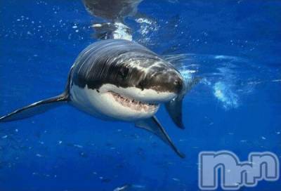 長岡デリヘル 人妻楼　長岡店(ヒトヅマロウ　ナガオカテン) なな(43)の9月10日写メブログ「危険生物…」