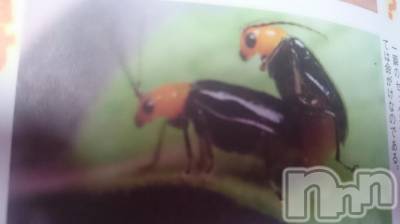 長岡デリヘル 人妻楼　長岡店(ヒトヅマロウ　ナガオカテン) なな(43)の9月16日写メブログ「届け！この精子！」