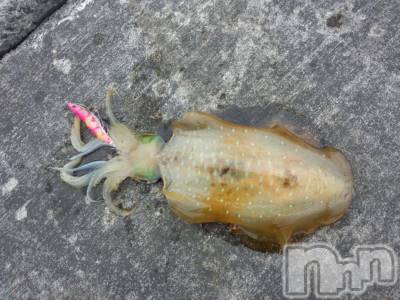 長岡デリヘル 人妻楼　長岡店(ヒトヅマロウ　ナガオカテン) なな(43)の9月27日写メブログ「前略、アオリイカさま」