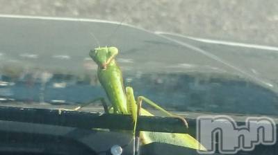 長岡デリヘル 人妻楼　長岡店(ヒトヅマロウ　ナガオカテン) なな(43)の10月17日写メブログ「ヤツと一緒に長岡へ」