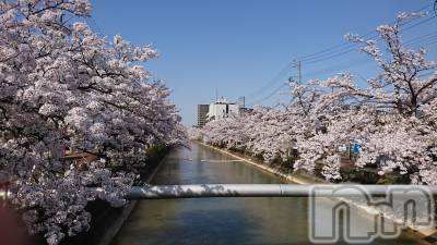 長岡デリヘル 人妻楼　長岡店(ヒトヅマロウ　ナガオカテン) なな(43)の4月12日写メブログ「感動する☆」