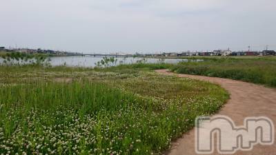 長岡デリヘル 人妻楼　長岡店(ヒトヅマロウ　ナガオカテン) なな(43)の5月20日写メブログ「あり得ない出来事」